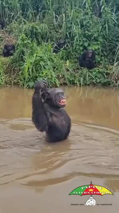 That's love at first sight..