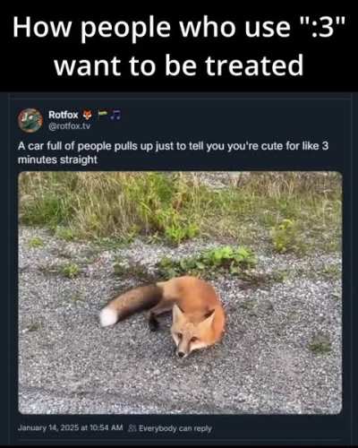 furry🦊irl