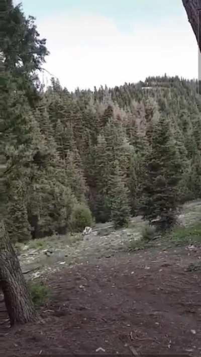 Forgot to test that rope.