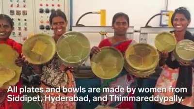 How Leaves Are Made Into Biodegradable Plates