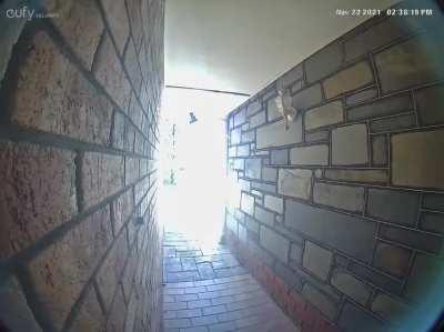 Someone definitely got isekai'd