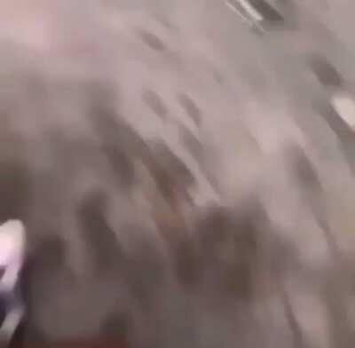 This nigga jah got his ass slumped 😭 had him stumbling and some more shit