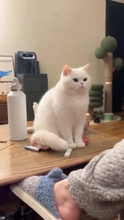 This is what jealousy looks like