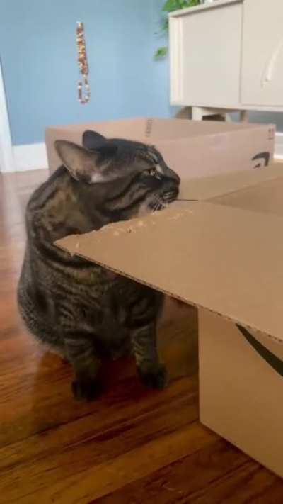 More of Ted Katzynski