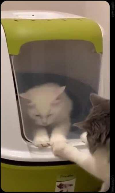 “must I stay here for eternity”