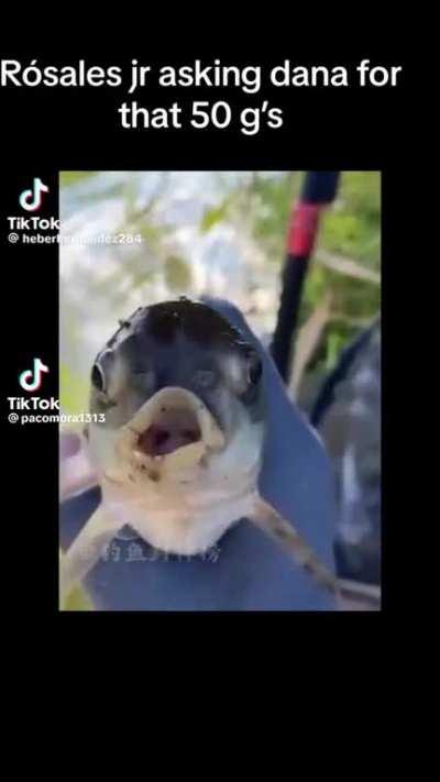 Raul Rosas Jr…. crazy 😂