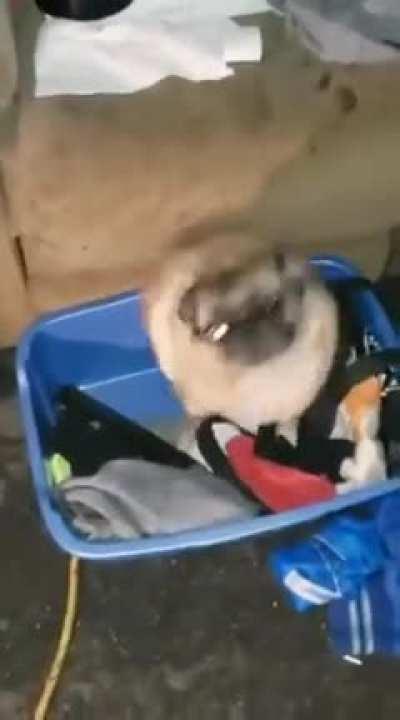 Don't know why I made this, but the intro to this song is so good (Turn the sound on)