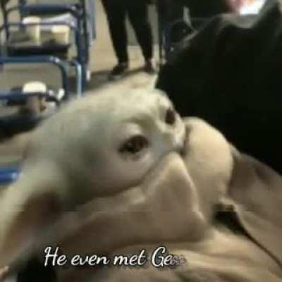 I made this adorable 100 tribute to the baby rat in which Baby Yoda definitely does not die (sound ON to have molten silver poured into your asshole)! 🥰🥰🥰