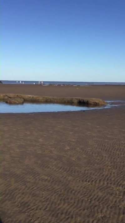 TIL que este fenómeno se llama 