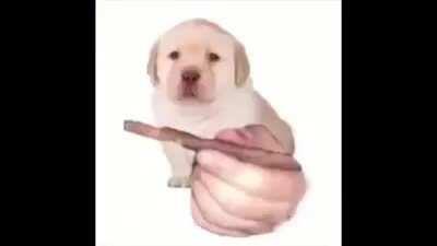 The whole internet in a nutshell