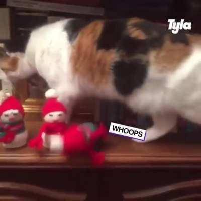 Enjoying the Christmas holidays..?