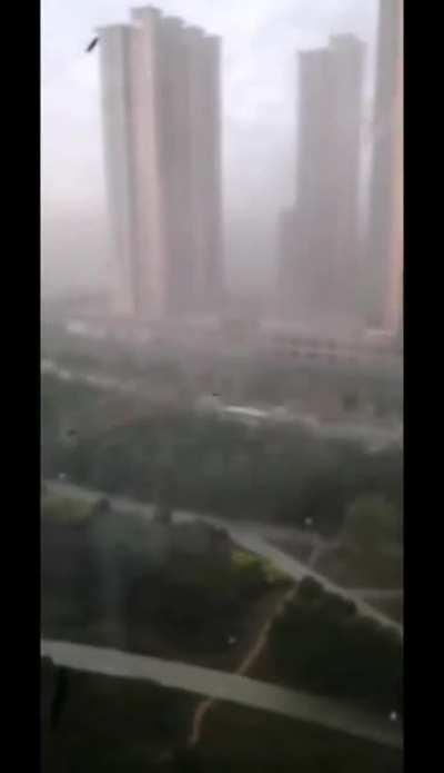 Am I the only one who saw a dragon?!