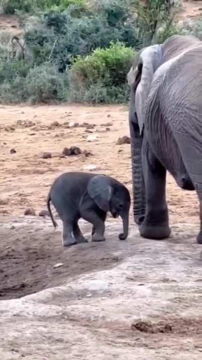 What is this thing hanging off my face?!