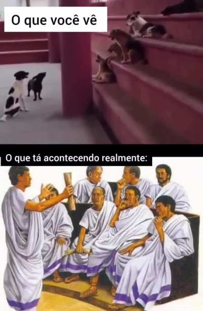 É uma Cãoferência