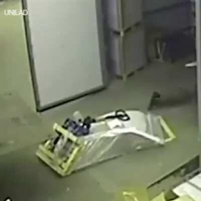 A Real Life Trebushit!