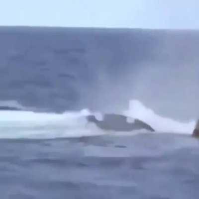 This is how I feel scrolling through y’all’s degeneracy