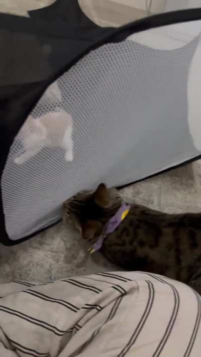 Opinions on interaction