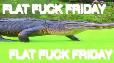 Flat fuck Friday