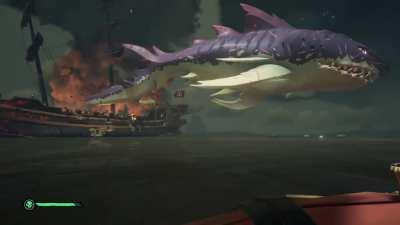 When a Megalodon really wants to eat you he try EVERYTHING