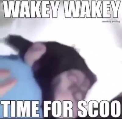 TIME FOR SCOO