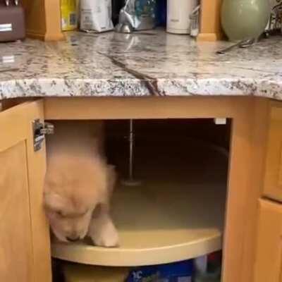 Time is a flat circle