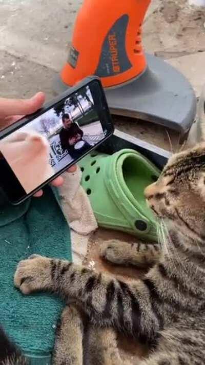 I quando guardo Ratorix