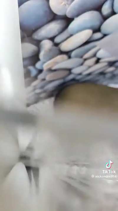 Misleading❌Marketing ✅