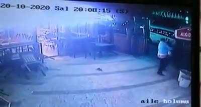 The dog owner somehow saw this situation coming with this Kung Fu cat