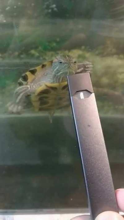 Can I hit your JUUL bro?