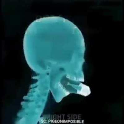 Has this even been tested?