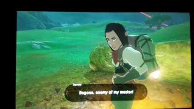 Remember that Yiga-Footsoldier trend a while ago?