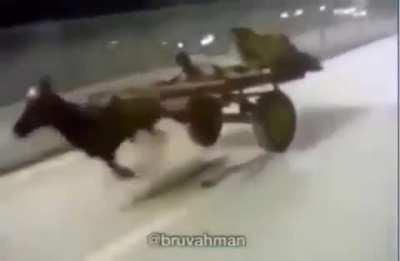 Made In Heaven when lmb be like