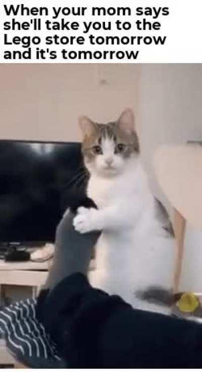 You proooooomiiiiiisssseeeddddd