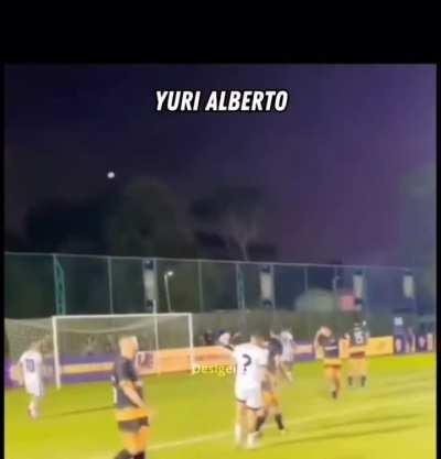 Um resumo de Cortinas X Palmares