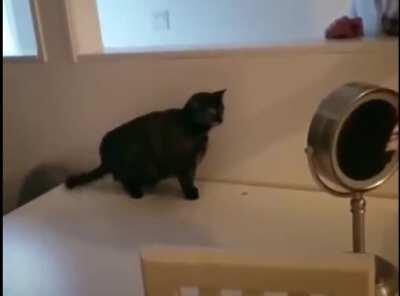 You're being way too hard on yourself here, mate...