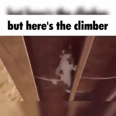 added shovel knight sound effects over 