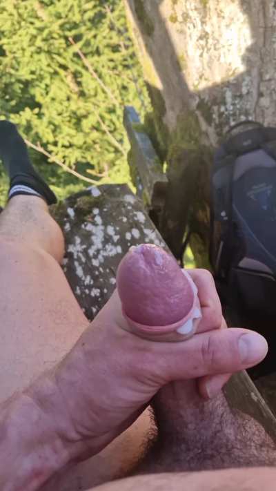 if the hunter knew what I was doing in his hunting stand😉