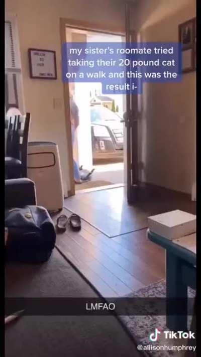 They tried to take their 20 pound cat on a walk