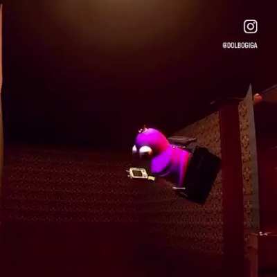 Oh look he’s flying