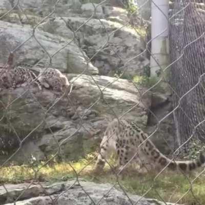 Jeez, you gave me the big startle!