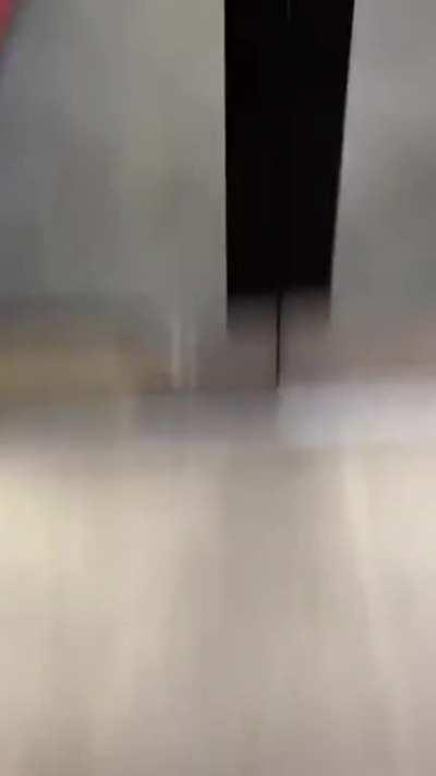 What a good purchase