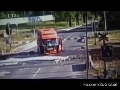 This guy got lucky and unfortunate at the same time