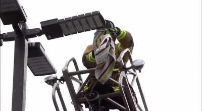 Fireman hangs poor seagull on a street light just for fun