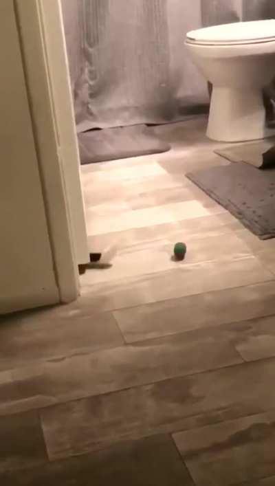 Good effort, poor planning