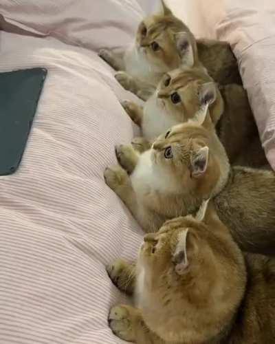 Chilling before bed time