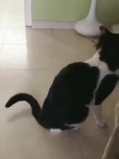 Let me just sit on it