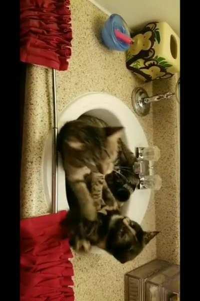 I expect a good CLEAN match