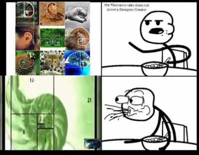 Fibonacci meme