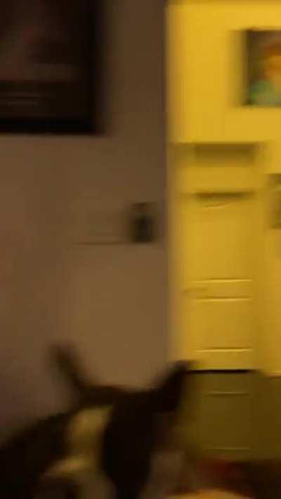 Eating chips.. Eating popcorn