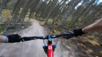 Ripping a local trail